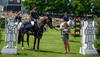 LES TROIS ROIS SWISS CUP FINAL