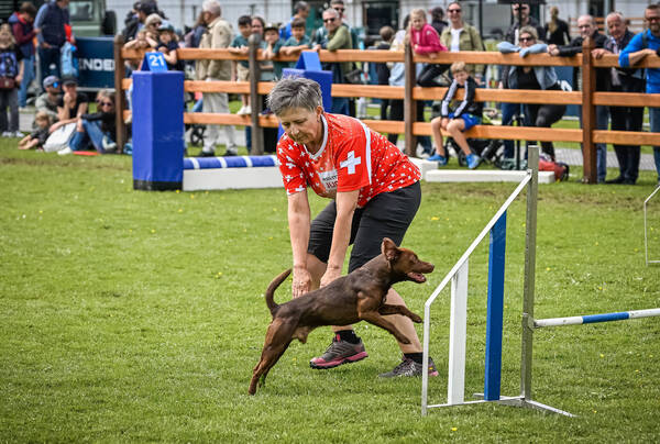 CSIO Hundepark