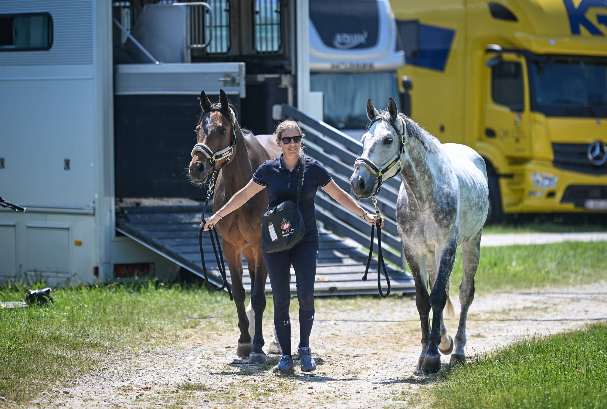 Arrival of athletes and horses