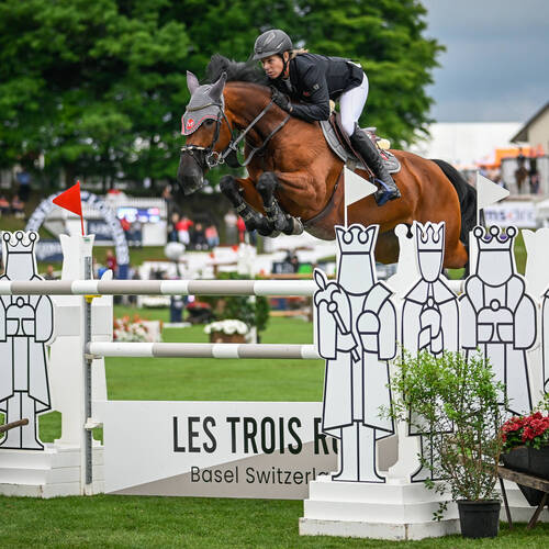 Barbara Schnieper - Judy KM