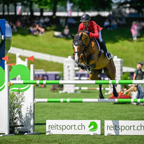 Pius Schwizer - Sonnenschein