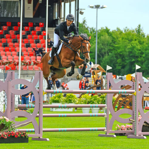 Schildknecht Einstreu Youngster Cup - Steve Guerdat