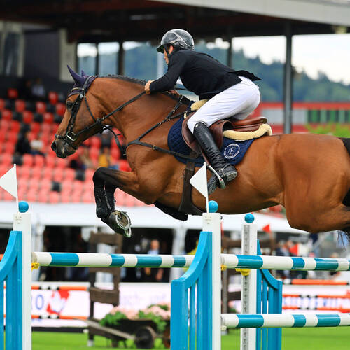 Preis CSIO Club II - Thomas de Wit