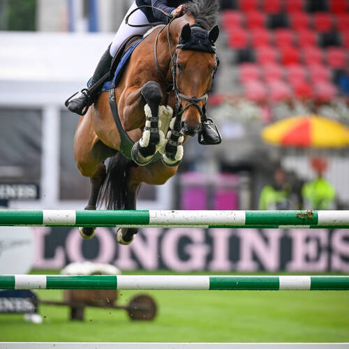 Anna Siegmann - PB Portofino