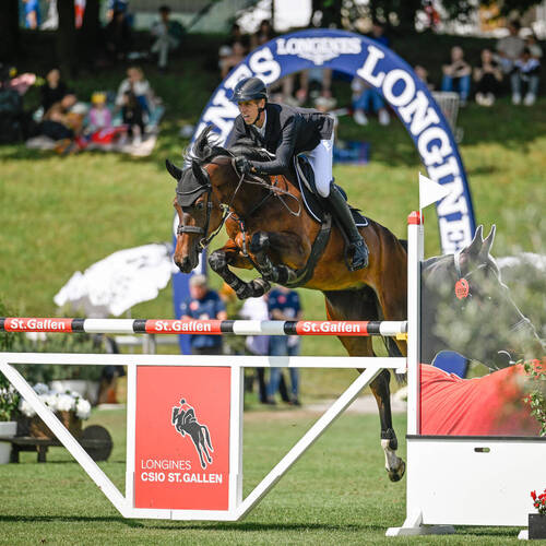 Copyright (C) CSIO / Fotografie Stuppia