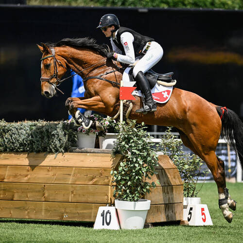 Copyright (C) CSIO / Fotografie Stuppia