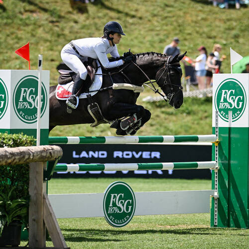 Copyright (C) CSIO / Fotografie Stuppia
