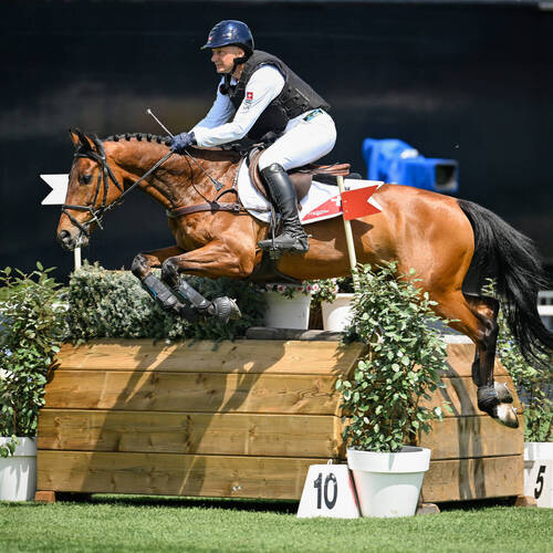 Copyright (C) CSIO / Fotografie Stuppia