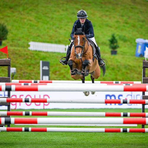 Copyright (C) CSIO / Fotografie Stuppia