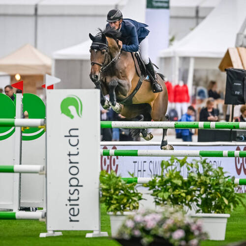 Copyright (C) CSIO / Fotografie Stuppia