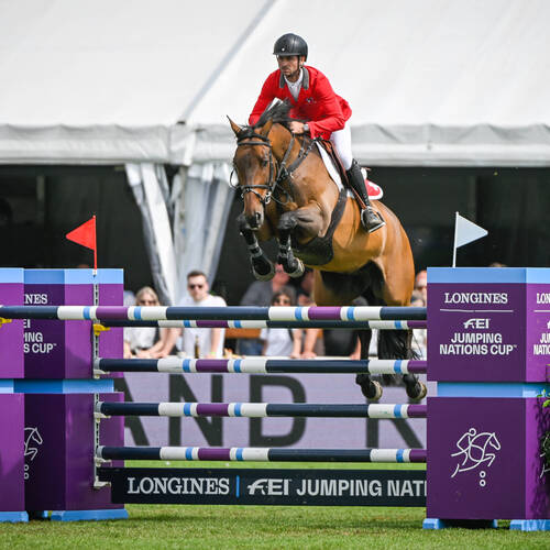 Steve Guerdat - Venard De Cerisy