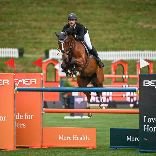 Francisco Jose Mesquita Musa - Catch Me Marathon