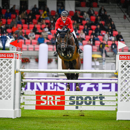 Maurice Tebbel - Don Diarado