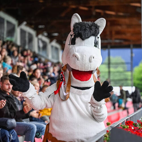 CSIO_St_Gallen_2025