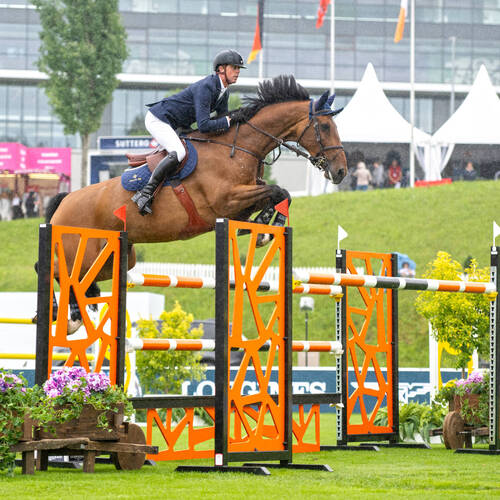 Preis MS Direct Group - Ben Maher