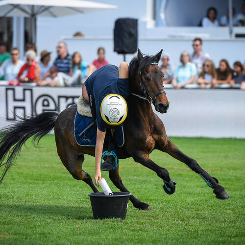CSIO St. Gallen 2018