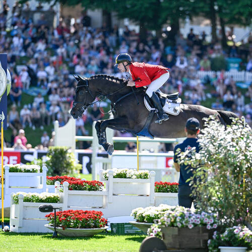 Copyright (C) CSIO / Fotografie Stuppia