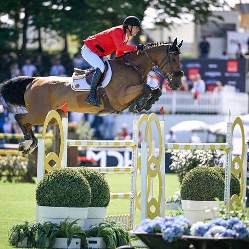 Copyright (C) CSIO / Fotografie Stuppia