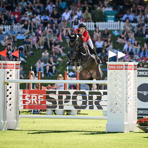 Copyright (C) CSIO / Fotografie Stuppia