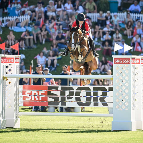 Copyright (C) CSIO / Fotografie Stuppia