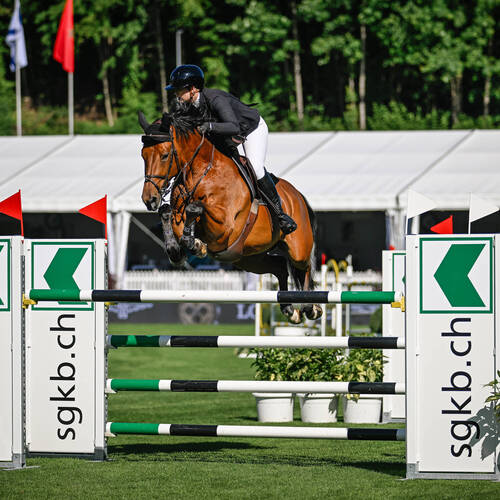 Copyright (C) CSIO / Fotografie Stuppia