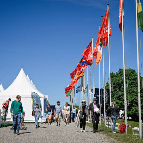 Copyright (C) CSIO / Fotografie Stuppia