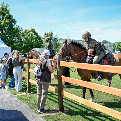 Copyright (C) CSIO / Fotografie Stuppia