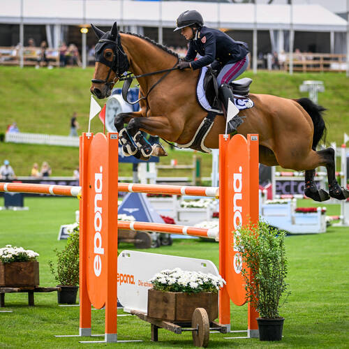 Ciriesi Francesca - Chacco's Boy