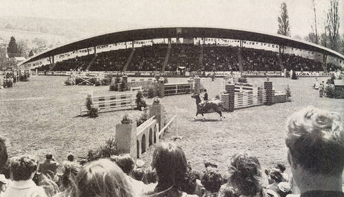 CSIO 1978