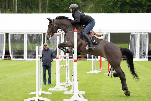 Rasentest im Gründenmoos