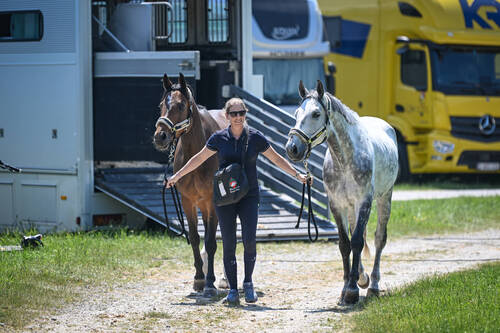 Arrival of athletes and horses
