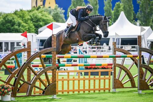 Copyright (C) CSIO / Fotografie Stuppia