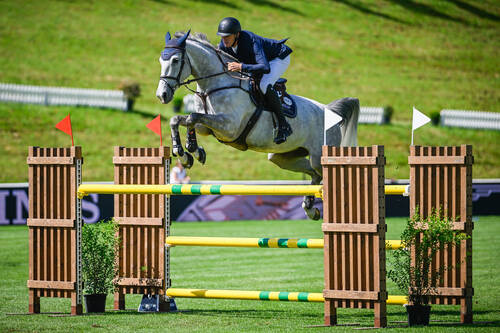 Gregory Wathelet - O'Blue De Corlato