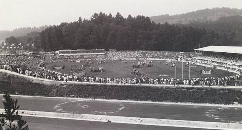1981