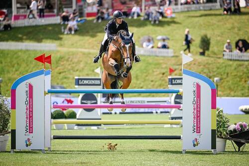 Copyright (C) CSIO / Fotografie Stuppia