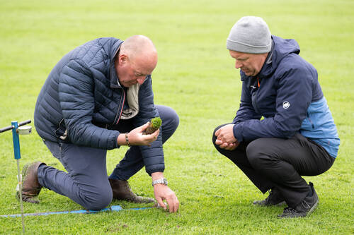 Rasentest im Gründenmoos