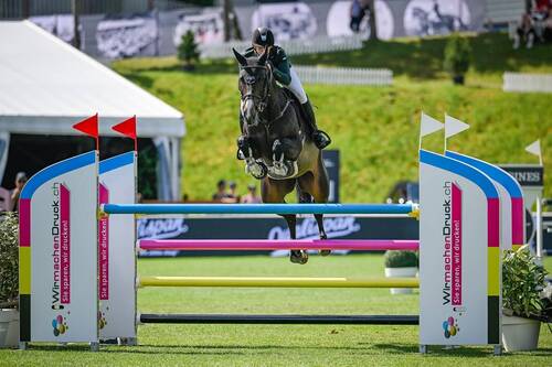 Copyright (C) CSIO / Fotografie Stuppia