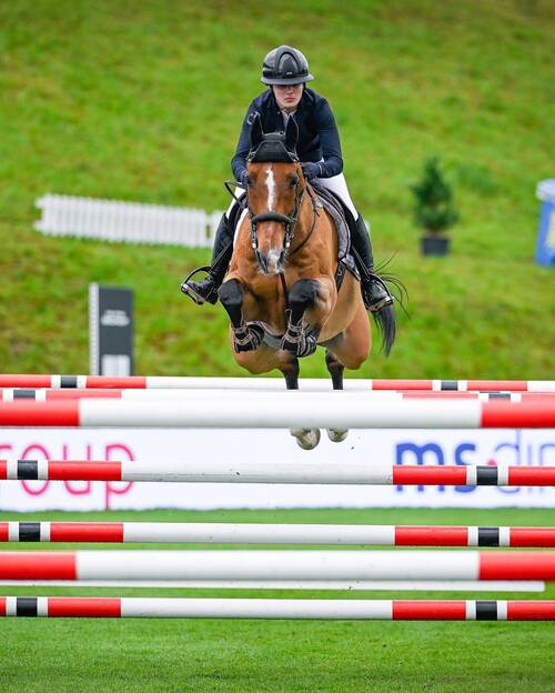 Copyright (C) CSIO / Fotografie Stuppia