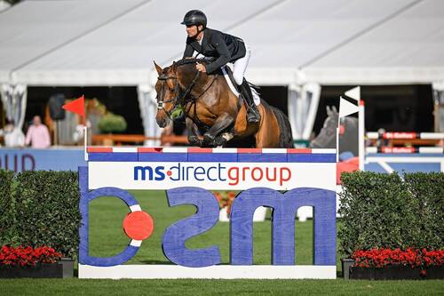 Copyright (C) CSIO / Fotografie Stuppia