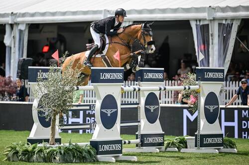 Copyright (C) CSIO / Fotografie Stuppia